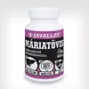 Máriatövis kapszula
