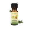 Erdei fenyő illóolaj – Pinus sylvestris (10 ml)