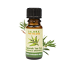 Esenciálny olej Čajovník – Melaleuca alternifolia (10 ml)