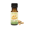 Gyömbér illóolaj – Oleum zingiberis (5 ml)