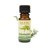 Esenciálny olej Eukalyptus – Eukalyptus globulus (10 ml)