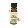 Geránium Bourbon illóolaj – Pelargonium graveolens (5 ml)