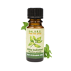Fodormenta illóolaj – Mentha spicata (10 ml)