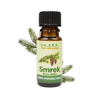 Lucfenyő illóolaj – Picea abies (10 ml)