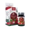 Zafír Pecsétviaszgomba (Ganoderma) DR kapszula, 60 db