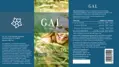 GAL K2-komplex + D3 vitamin Forte, 1000 mcg K-komplex + 4000 IU D3 x 60 servings
