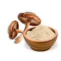 BioMenü bio Shiitake kapsuly, 60 ks
