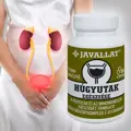 JAVALLAT® HÚGYUTAK EGÉSZSÉGE