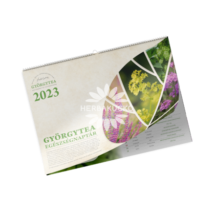 Györgytea Egészségnaptár 2023