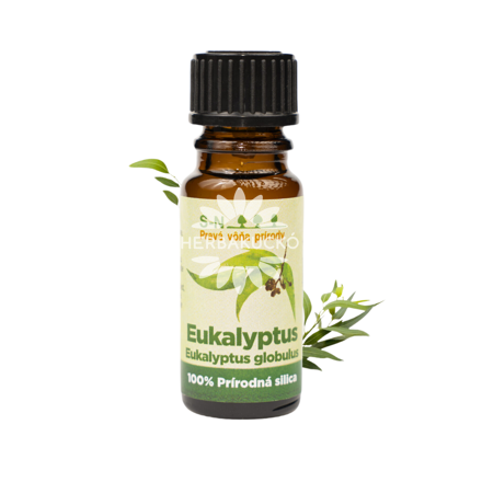 Eukaliptusz illóolaj – Eucalyptus globulus (10 ml)