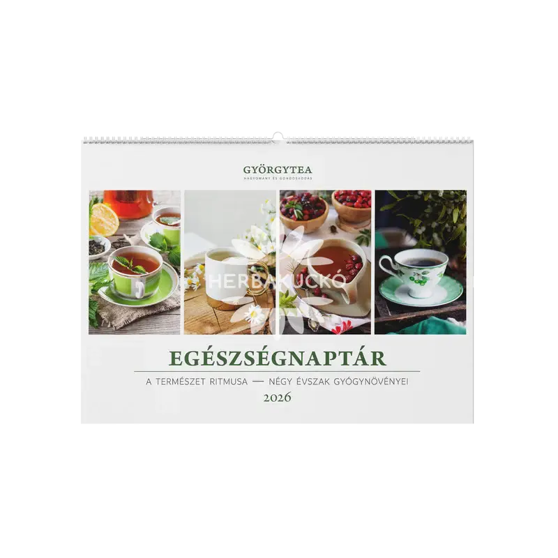 Györgytea egészségnaptár 2026